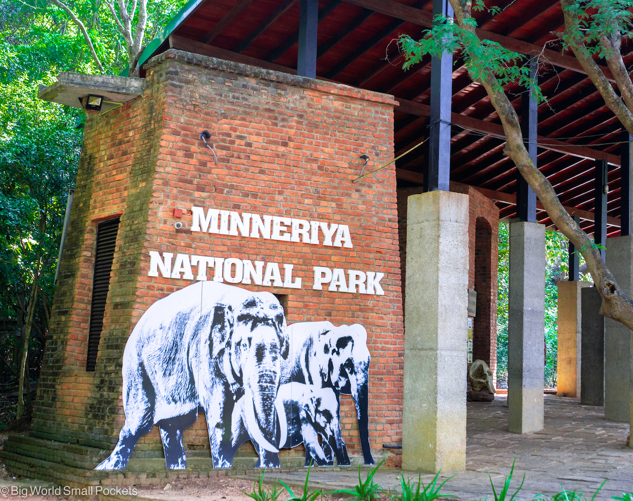 Minneriya National Park